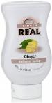 Coco Real - Ginger Puree 16.9oz 0